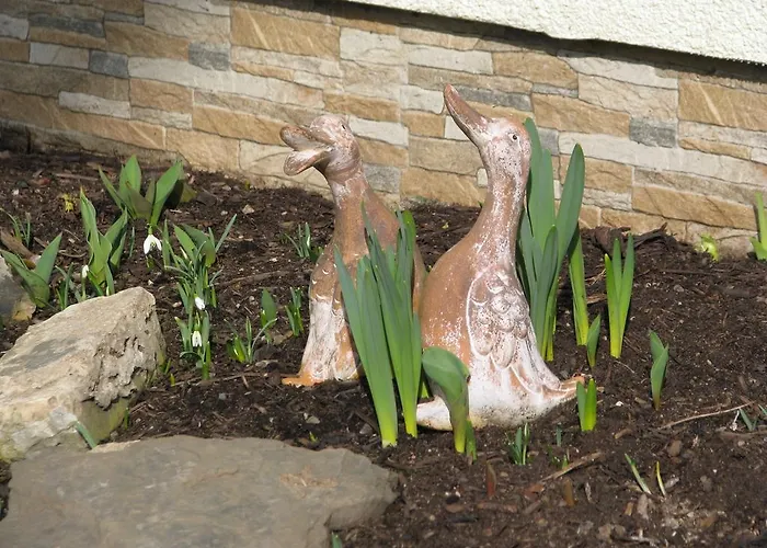 Arnold Apartamento *